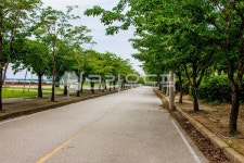 자연, nature, 옥외, outdoors, 길, 사진,이미지,일러스트,캘리그라피 - studio H작가 크라우드픽 - 저작권 걱정 없는 상업용 이미지