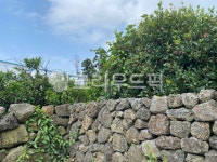 wall, 벽, stonewall, 돌담, 돌, 사진,이미지,일러스트,캘리그라피 - 구르밋작가 크라우드픽 - 저작권 걱정 없는 상업용 이미지