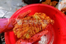 김치, 김장, 음식, 배추김치, 쿠킹, 사진,이미지,일러스트,캘리그라피 - 독버섯찌개작가 크라우드픽 - 저작권 걱정 없는 상업용 이미지