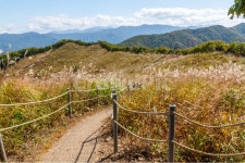 억새풀, 가을산행, 푸른하늘, 등산, 명성산, 사진,이미지,일러스트,캘리그라피 - tankpool작가 크라우드픽 - 저작권 걱정 없는 상업용 이미지