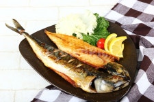 고등어, 생선, 등푸른생선, 구이, 생선구이, 사진,이미지,일러스트,캘리그라피 - Nstonekwak작가 크라우드픽 - 저작권 걱정 없는 상업용 이미지