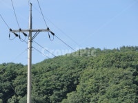 하늘, 뒷배경, 그림자, 나무, 전봇대, 사진,이미지,일러스트,캘리그라피 - Nrladpfls99작가 크라우드픽 - 저작권 걱정 없는 상업용 이미지