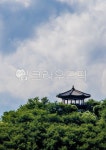 자연, nature, 옥외, outdoors, 정자, 사진,이미지,일러스트,캘리그라피 - Studio EJ작가 크라우드픽 - 저작권 걱정 없는 상업용 이미지