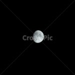 달, moon, 밤하늘, 보름달, 상현달, 사진,이미지,일러스트,캘리그라피 - JuYoung_PIC작가 크라우드픽 - 저작권 걱정 없는 상업용 이미지