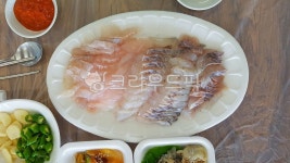 해산물, 해물, 생선회, 생물, 신선한, 사진,이미지,일러스트,캘리그라피 - fresh air작가 크라우드픽 - 저작권 걱정 없는 상업용 이미지