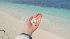 우도, 제주도, 서빈백사, 산호, 손, 사진,이미지,일러스트,캘리그라피 - mjpage작가 크라우드픽 - 저작권 걱정 없는 상업용 이미지