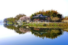 water, 물, nature, 자연, 옥외, 사진,이미지,일러스트,캘리그라피 - 영산공작가 크라우드픽 - 저작권 걱정 없는 상업용 이미지