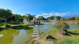 칠십리공원, 제주, 공원, 자연, nature, 사진,이미지,일러스트,캘리그라피 - 쓰리에스작가 크라우드픽 - 저작권 걱정 없는 상업용 이미지