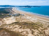 신두리사구, 신두리해수욕장, 해안, 해변, 사구, 사진,이미지,일러스트,캘리그라피 - cstrike작가 크라우드픽 - 저작권 걱정 없는 상업용 이미지