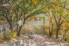 와룡공원, 와룡공원길, 산책, 산책로, 서울, 사진,이미지,일러스트,캘리그라피 - imlover작가 크라우드픽 - 저작권 걱정 없는 상업용 이미지