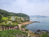 통영, 초록, nature, outdoors, 자연, 사진,이미지,일러스트,캘리그라피 - p01050749461작가 크라우드픽 - 저작권 걱정 없는 상업용 이미지