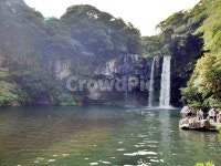 천지연폭포, 서귀포시, 제주, 숲, 자연, 사진,이미지,일러스트,캘리그라피 - Deep bLUE작가 크라우드픽 - 저작권 걱정 없는 상업용 이미지