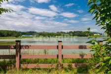 진천, 덕산, 한여름, 신척저수지, 호숫가풍경, 사진,이미지,일러스트,캘리그라피 - tankpool작가 크라우드픽 - 저작권 걱정 없는 상업용 이미지