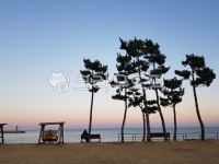 노을, 하늘, 나무, 그네, 해변, 사진,이미지,일러스트,캘리그라피 - whyjay작가 크라우드픽 - 저작권 걱정 없는 상업용 이미지
