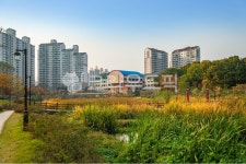 안곡습지, 공원, 나무, 산책로, 습지, 사진,이미지,일러스트,캘리그라피 - 메추리알작가 크라우드픽 - 저작권 걱정 없는 상업용 이미지