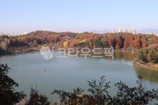 풍암호수공원, 저수지, 물, 단풍, 산책길, 사진,이미지,일러스트,캘리그라피 - 언제나민들레작가 크라우드픽 - 저작권 걱정 없는 상업용 이미지