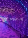 조명, 보라, 빛, light, lighting, 사진,이미지,일러스트,캘리그라피 - hjk9135작가 크라우드픽 - 저작권 걱정 없는 상업용 이미지