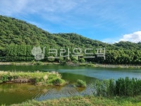 강, 강물, 호수, 연못, 푸른자연, 사진,이미지,일러스트,캘리그라피 - DADAlu작가 크라우드픽 - 저작권 걱정 없는 상업용 이미지