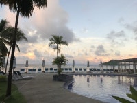 하늘, 섬나라, 열대야나무, 푸른하늘, 산책, 사진,이미지,일러스트,캘리그라피 - 뽀댕작가 크라우드픽 - 저작권 걱정 없는 상업용 이미지