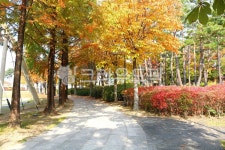 공원, 화랑공원, 휴식, 휴양지, 도시공원, 사진,이미지,일러스트,캘리그라피 - 청랑작가 크라우드픽 - 저작권 걱정 없는 상업용 이미지