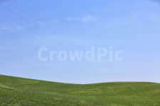 배경화면, 하늘, 풍경, 사진, 웹, 사진,이미지,일러스트,캘리그라피 - JONEY작가 크라우드픽 - 저작권 걱정 없는 상업용 이미지