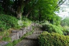 정원, 나무, 돌, 돌길, 길, 사진,이미지,일러스트,캘리그라피 - 행운가득작가 크라우드픽 - 저작권 걱정 없는 상업용 이미지