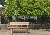 bench, 벤치, 의자, 정원, furniture, 사진,이미지,일러스트,캘리그라피 - 수리산호랑이작가 크라우드픽 - 저작권 걱정 없는 상업용 이미지