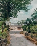제주, 서귀포, 표선마을, 돌담, 제주마을, 사진,이미지,일러스트,캘리그라피 - Nhmt7859작가 크라우드픽 - 저작권 걱정 없는 상업용 이미지