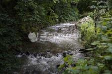 계곡, 자연, 풍경, 나무, 돌, 사진,이미지,일러스트,캘리그라피 - pb이로작가 크라우드픽 - 저작권 걱정 없는 상업용 이미지