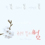 벚꽃, 러브블러썸, 러브, 블러썸, 썸, 사진,이미지,일러스트,캘리그라피 - green seed작가 크라우드픽 - 저작권 걱정 없는 상업용 이미지
