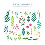 나뭇잎, 꽃잎, 새싹, 수채화, 소스, 사진,이미지,일러스트,캘리그라피 - DAWOOL작가 크라우드픽 - 저작권 걱정 없는 상업용 이미지