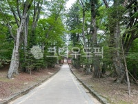 해인사, 법보사찰, 자연, 사찰, temple, 사진,이미지,일러스트,캘리그라피 - 봄내멋쟁이작가 크라우드픽 - 저작권 걱정 없는 상업용 이미지