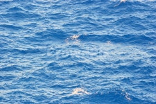 바다, 물, 물결, 파도, 자연, 사진,이미지,일러스트,캘리그라피 - 사진대감작가 크라우드픽 - 저작권 걱정 없는 상업용 이미지