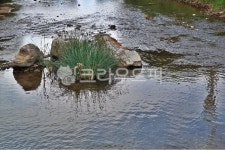 학의천, 하천, 전원, 풍경, 자연, 사진,이미지,일러스트,캘리그라피 - Deep bLUE작가 크라우드픽 - 저작권 걱정 없는 상업용 이미지