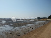 장항읍, 해수욕장, 갯벌, 바닷가, 바다, 사진,이미지,일러스트,캘리그라피 - pswtravel작가 크라우드픽 - 저작권 걱정 없는 상업용 이미지