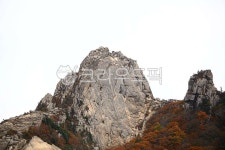 설악산, 공룡능선, 1275봉, 암봉, 바위, 사진,이미지,일러스트,캘리그라피 - fresh air작가 크라우드픽 - 저작권 걱정 없는 상업용 이미지