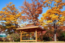 정자, 쉼터, 오두막, 휴게소, 휴식, 사진,이미지,일러스트,캘리그라피 - 아푸아아작가 크라우드픽 - 저작권 걱정 없는 상업용 이미지