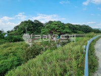 소나무, 정자, 다리, 산책길, 쉼터, 사진,이미지,일러스트,캘리그라피 - 태학435작가 크라우드픽 - 저작권 걱정 없는 상업용 이미지