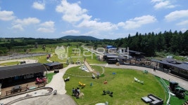 여름, 제주, 제주도, 목장, 자연, 사진,이미지,일러스트,캘리그라피 - 행운가득작가 크라우드픽 - 저작권 걱정 없는 상업용 이미지