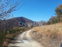 풍경, 도로, 시골길, 흙길, 자연, 사진,이미지,일러스트,캘리그라피 - 델리만쥬작가 크라우드픽 - 저작권 걱정 없는 상업용 이미지