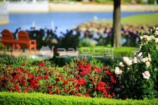 순천만국가정원1호, 테마공원, 자연생태공원, 자연, 옥외, 사진,이미지,일러스트,캘리그라피 - pandora4077작가 크라우드픽 - 저작권 걱정... 