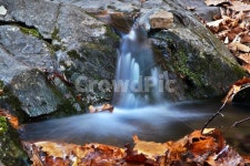 계곡, 청계산, 맑은숲공원, 장노출, 자연, 사진,이미지,일러스트,캘리그라피 - Deep bLUE작가 크라우드픽 - 저작권 걱정 없는 상업용 이미지