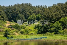 태안, 충남, 태안군, 두웅습지, 람사르습지, 사진,이미지,일러스트,캘리그라피 - Nyain6873작가 크라우드픽 - 저작권 걱정 없는 상업용 이미지