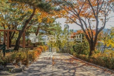 와룡공원, 와룡공원길, 산책, 산책로, 서울, 사진,이미지,일러스트,캘리그라피 - imlover작가 크라우드픽 - 저작권 걱정 없는 상업용 이미지