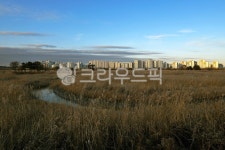 소래염전, 소래생태공원, 소래습지생태공원, 인천시, 갈대, 사진,이미지,일러스트,캘리그라피 - Deep bLUE작가 크라우드픽 - 저작권 걱정 없는... 