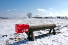안성, 팜랜드, 농장, 겨울, 흰, 사진,이미지,일러스트,캘리그라피 - 참 아름다우리라작가 크라우드픽 - 저작권 걱정 없는 상업용 이미지