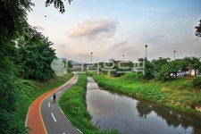 양재천, 하천, 신록, 자전거도로, 산책로, 사진,이미지,일러스트,캘리그라피 - Deep bLUE작가 크라우드픽 - 저작권 걱정 없는 상업용 이미지