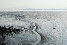 갯벌, 갯골, 바다, 생태계, 바다풍경, 사진,이미지,일러스트,캘리그라피 - terry작가 크라우드픽 - 저작권 걱정 없는 상업용 이미지