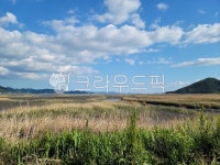 순천만, 자연, 들판, 목초지, 갈대, 사진,이미지,일러스트,캘리그라피 - 하이롱베이작가 크라우드픽 - 저작권 걱정 없는 상업용 이미지