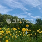 자연, flower, 꽃, 봄, 여름, 사진,이미지,일러스트,캘리그라피 - hhyj66작가 크라우드픽 - 저작권 걱정 없는 상업용 이미지